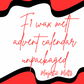 2025 25 day F1 wax melt advent calendar - unpackaged